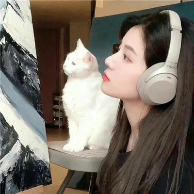 妙探父子兵